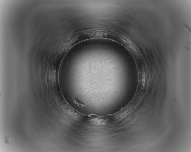 X0000096940326200802151220