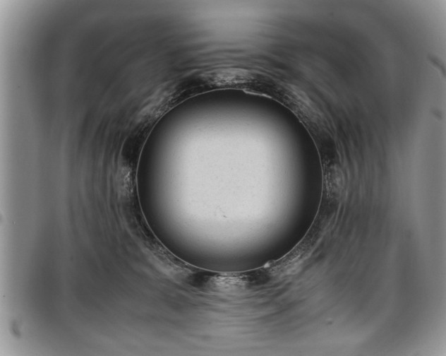 X0000096940327200802151220