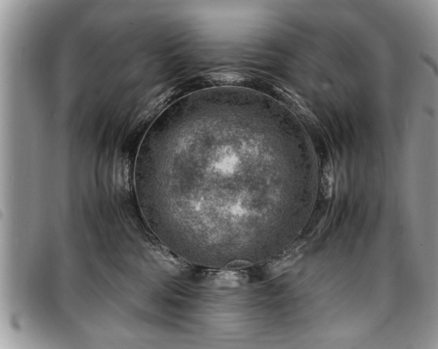X0000096940330200802151220