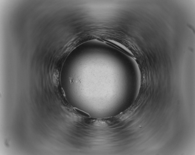 X0000096940332200802151220