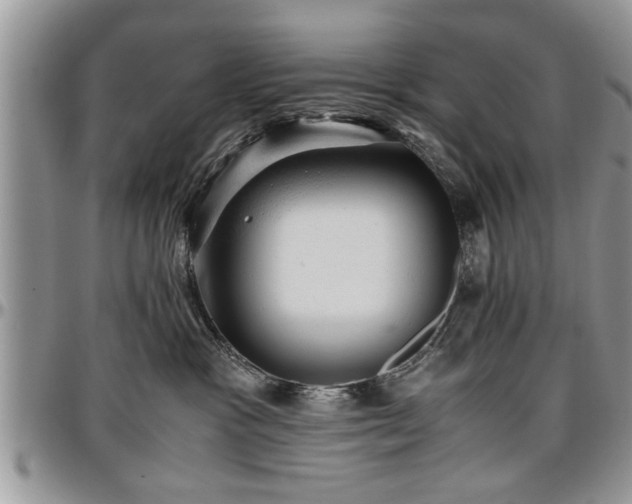 X0000096940333200802151220