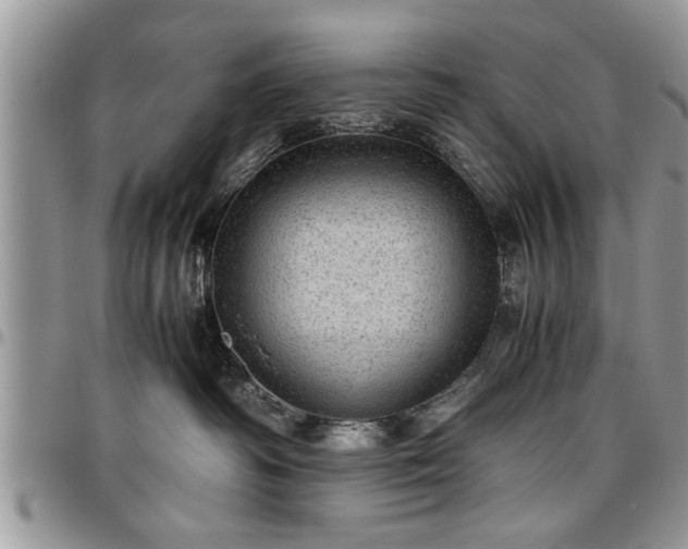 X0000096940334200802151220