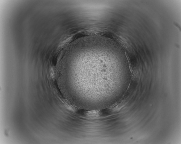 X0000096940335200802151220