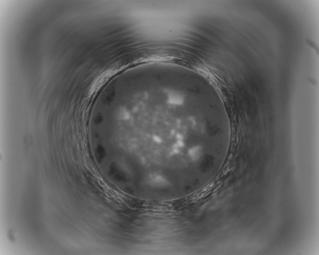 X0000096940337200802151219