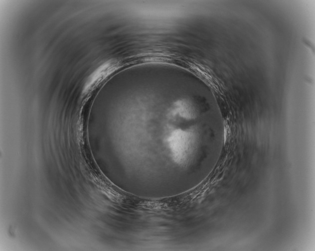 X0000096940339200802151219