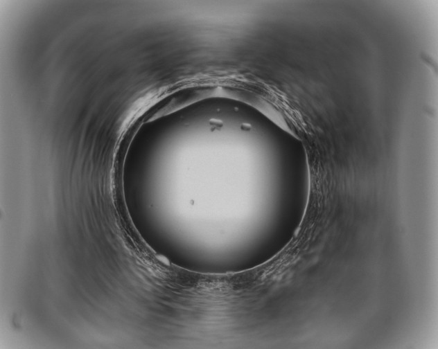 X0000096940340200802151220