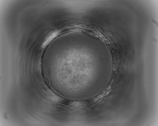 X0000096940341200802151220