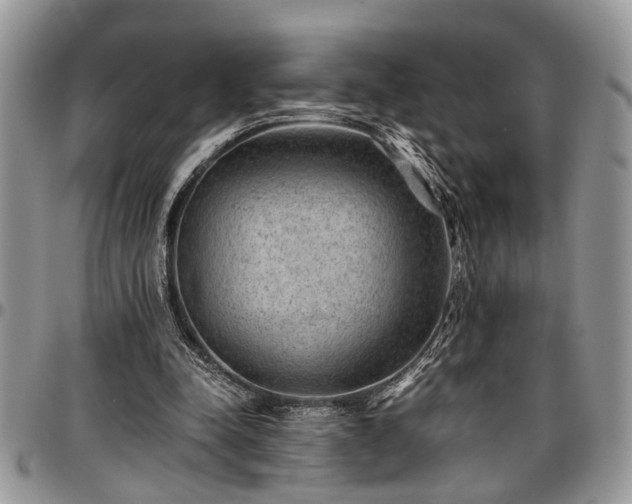 X0000096940342200802151220