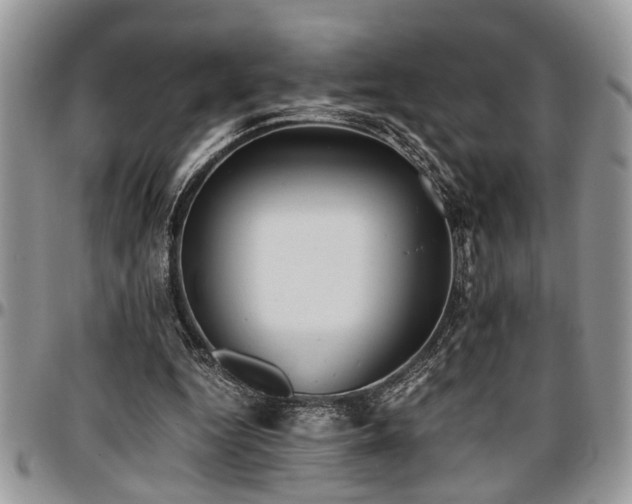 X0000096940344200802151220