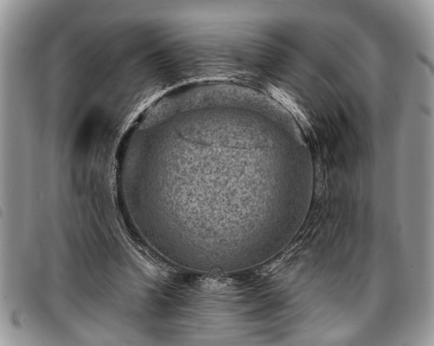 X0000096940346200802151220