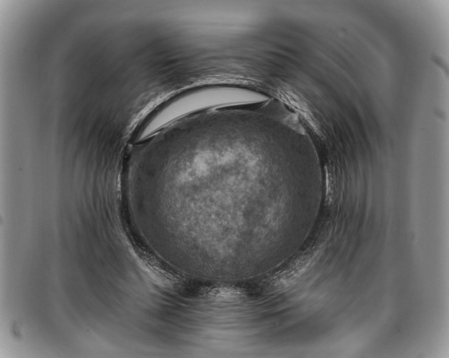 X0000096940348200802151220