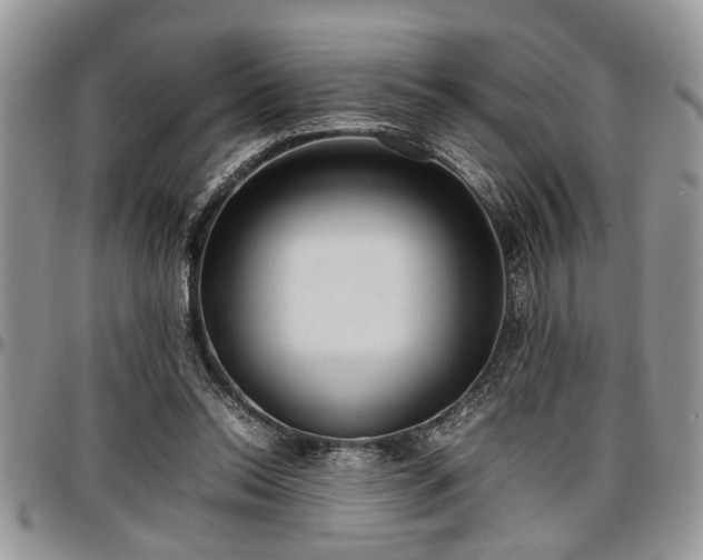 X0000096940350200802151220