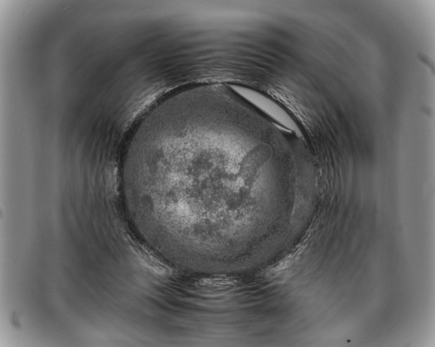 X0000096940351200802151220