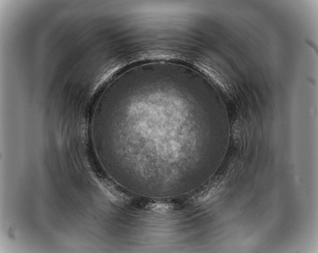 X0000096940352200802151220