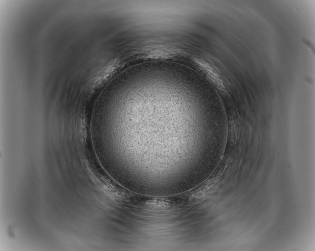 X0000096940354200802151220