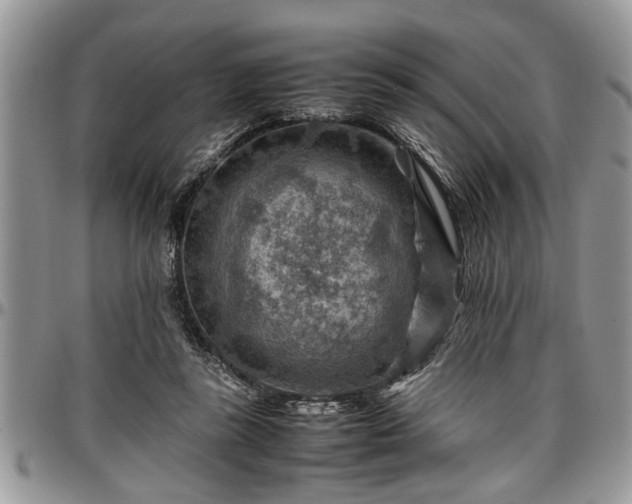 X0000096940355200802151220