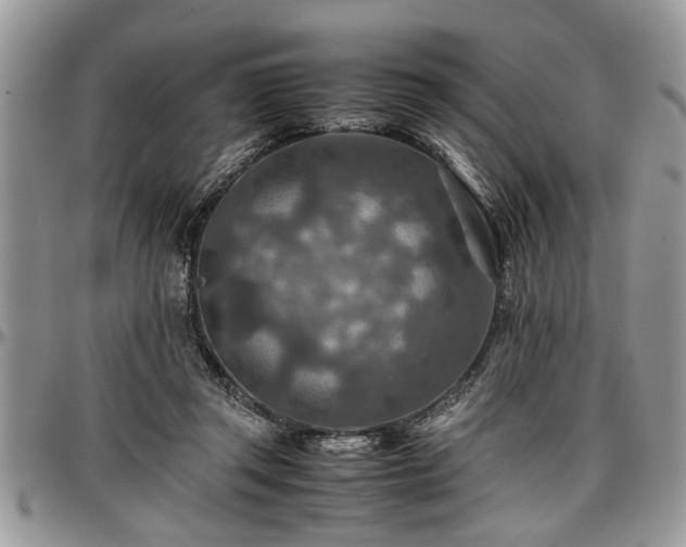 X0000096940357200802151220
