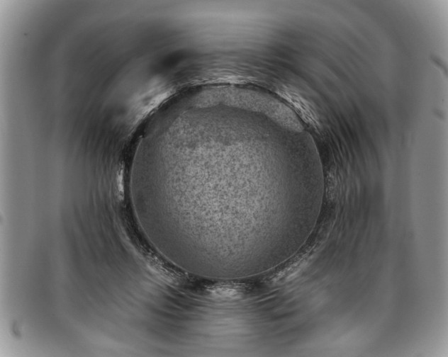 X0000096940358200802151220