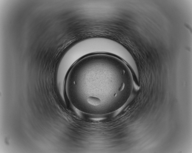 X0000096940360200802151220