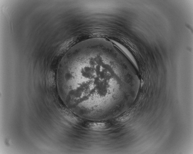 X0000096940361200802151220