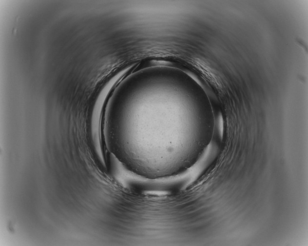 X0000096940362200802151220