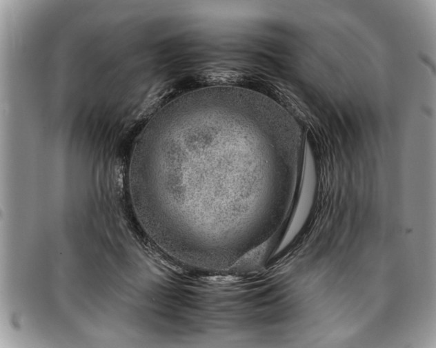 X0000096940363200802151220
