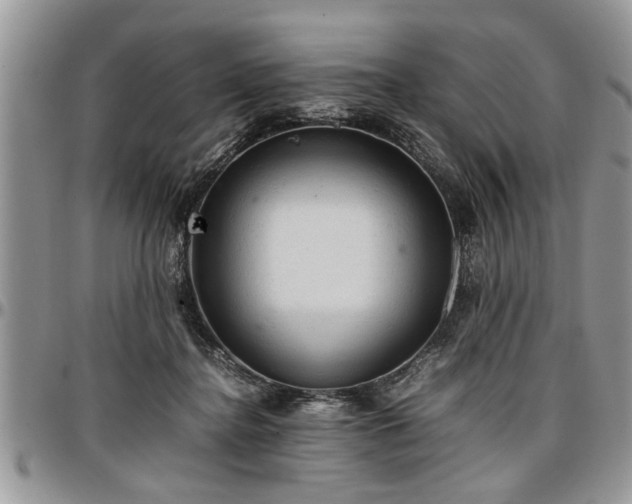 X0000096940364200802151220