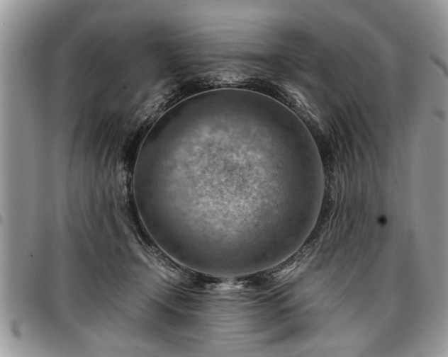 X0000096940366200802151220
