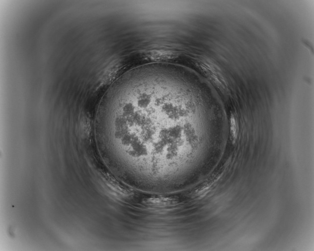 X0000096940367200802151220