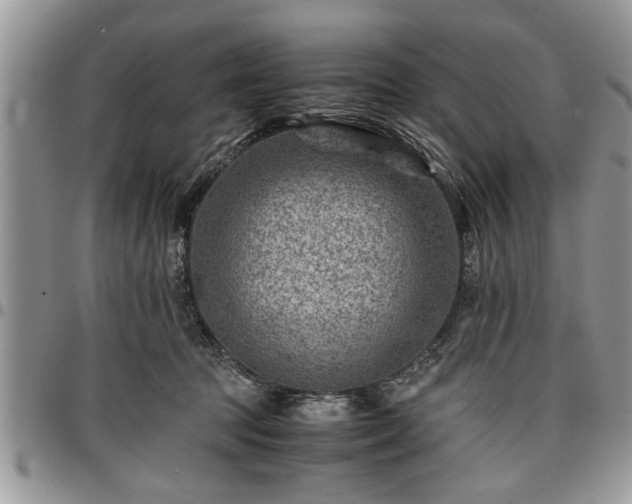 X0000096940369200802151220