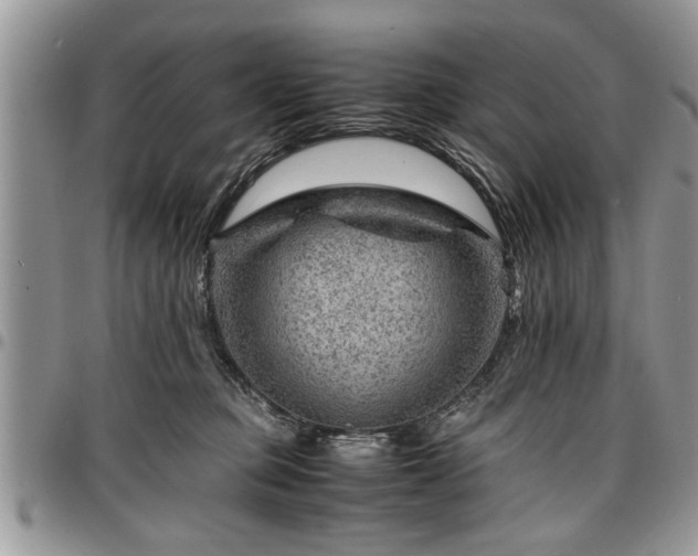 X0000096940373200802151220