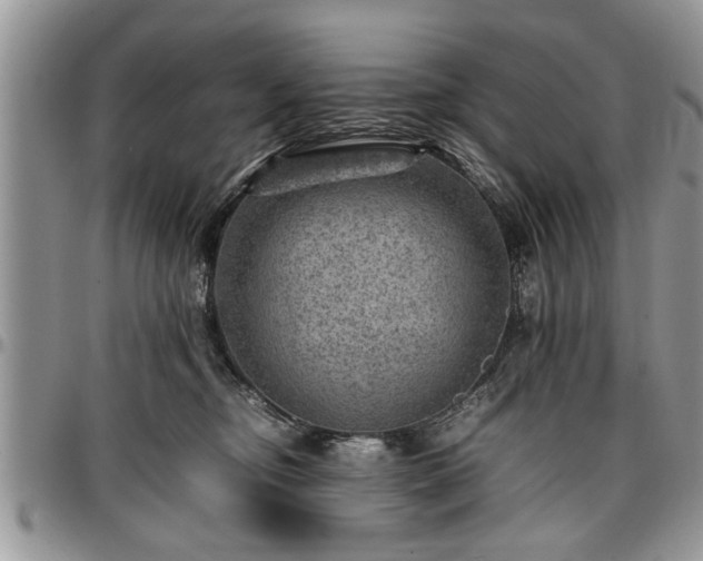 X0000096940374200802151220