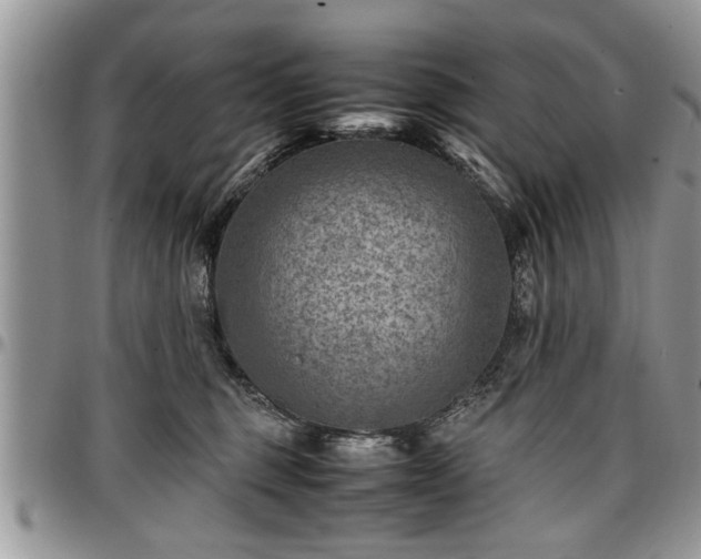 X0000096940375200802151220