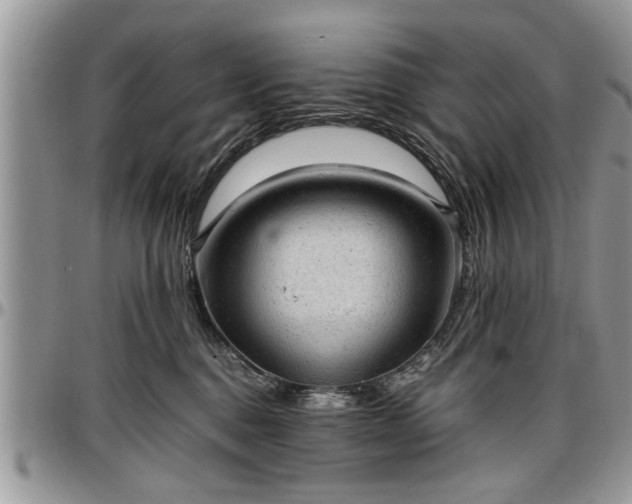 X0000096940376200802151220