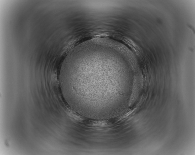 X0000096940377200802151220