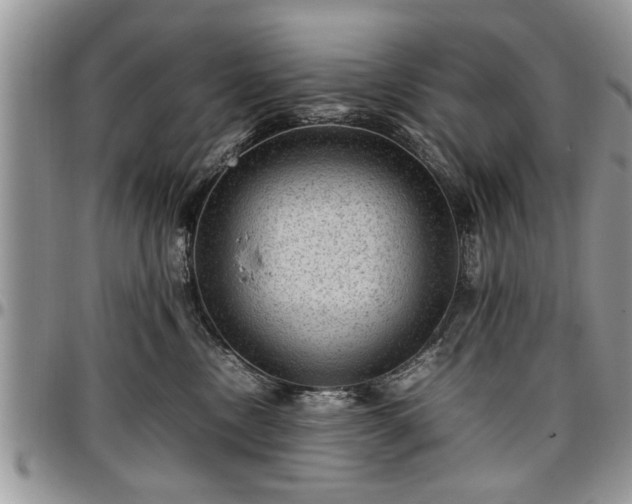 X0000096940378200802151220