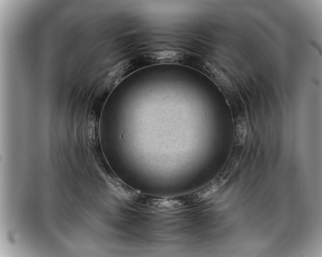 X0000096940379200802151220