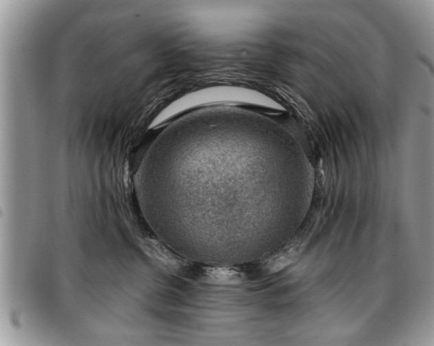 X0000096940380200802151220