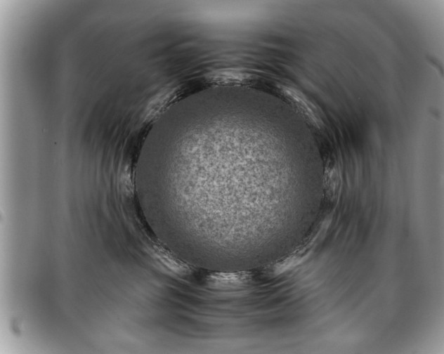 X0000096940381200802151220