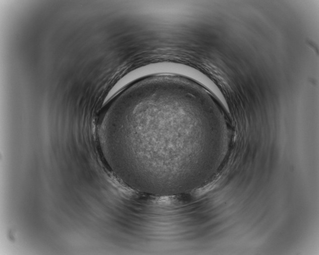 X0000096940382200802151220