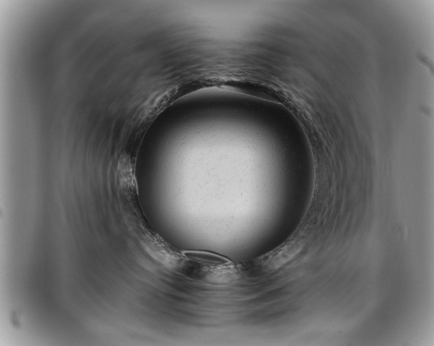 X0000096940384200802151220