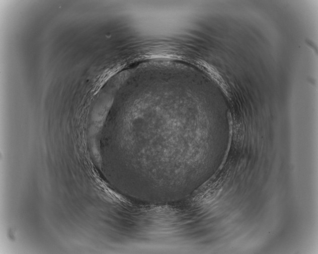 X0000096940385200802151219