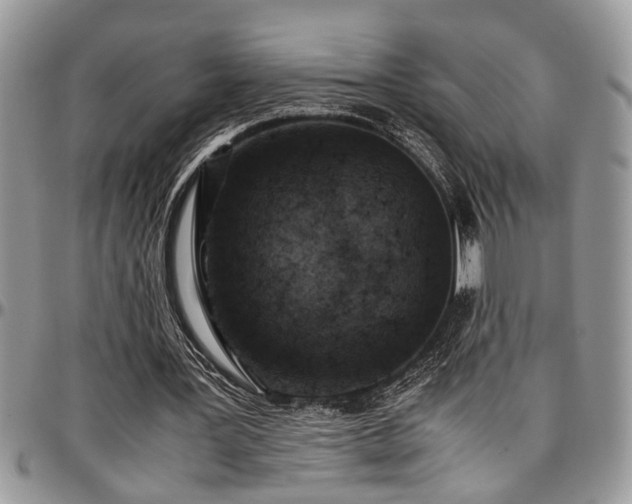 X0000096940387200802151219
