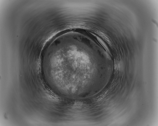 X0000096940388200802151219
