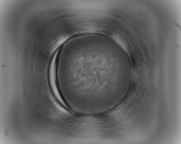 X0000096940389200802151219