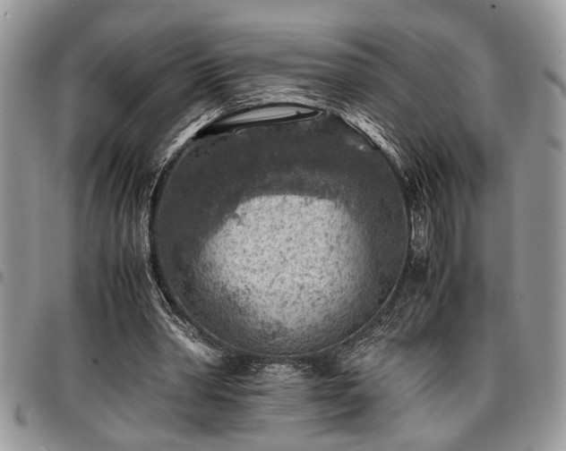 X0000096940390200802151219