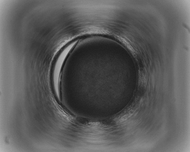 X0000096940391200802151219