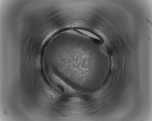 X0000096940392200802151219