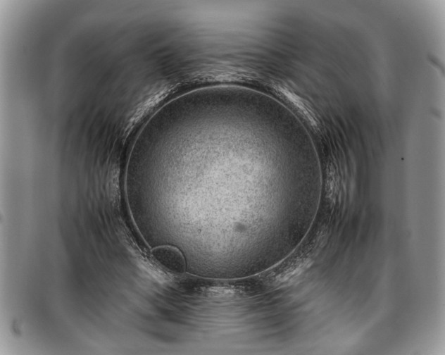 X0000096940394200802151219
