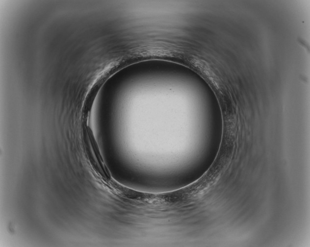 X0000096940395200802151219